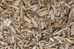 biomass boilers Coedcae