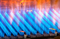 Coedcae gas fired boilers
